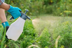Cedar oil emulsified into eco-friendly insecticide – Fristam Colloid Mixer
