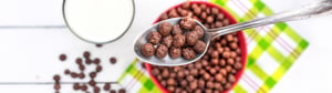 Fristam Powder Mixer boosts cereal coating production, keeping expansion costs down