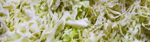 Fristam Shear Blender – Mashing cooked cabbage for soup production
