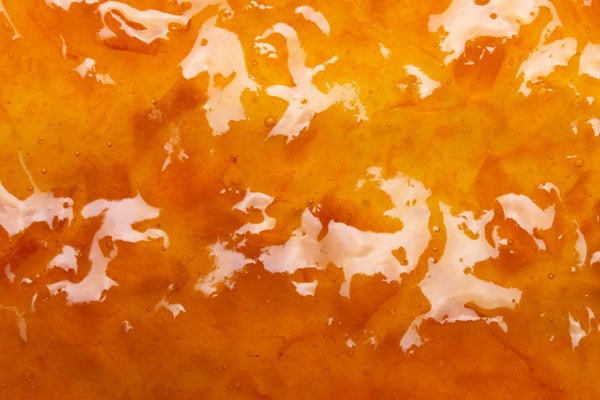 Fristam’s solution