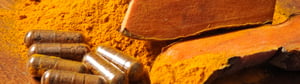 Fristam Powder Mixing improves turmeric supplement quality and reduces batch time – ROI achieved in just 2 months!